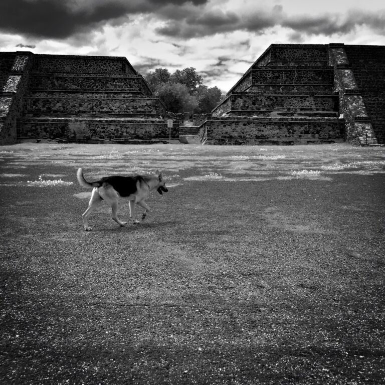Suddenly Teotihuacán